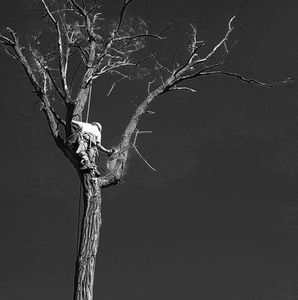 Meet your Posher, Darrin